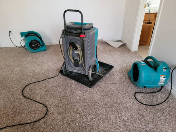 Best Water damage restoration services  in University, FL