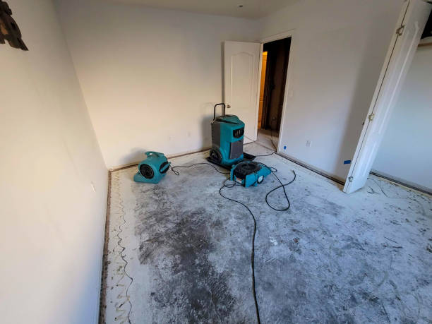 Best 24-hour water damage restoration  in University, FL