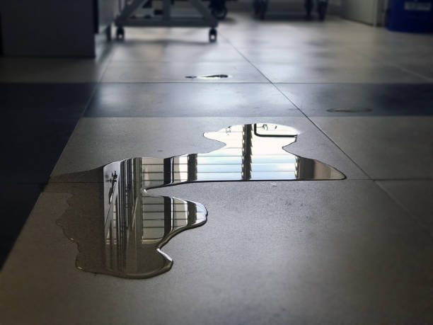 Best Emergency water damage restoration  in University, FL