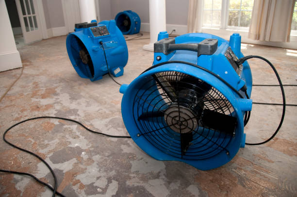 Best Flood restoration services  in University, FL