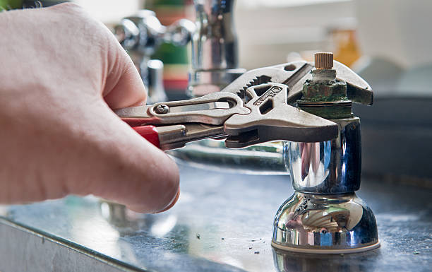 Best Local water damage restoration  in University, FL
