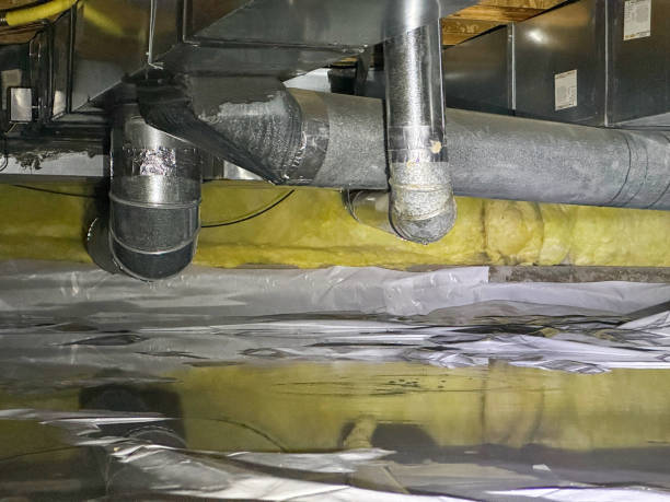 Best Commercial water damage restoration  in University, FL