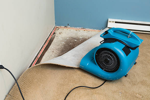 Best Sewage cleanup and water damage restoration  in University, FL